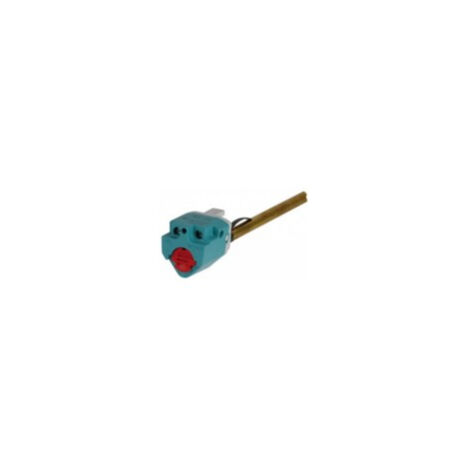 Thermostat à Sonde Non Embrochable Type Tsd, L De Canne: 270mm. -pl