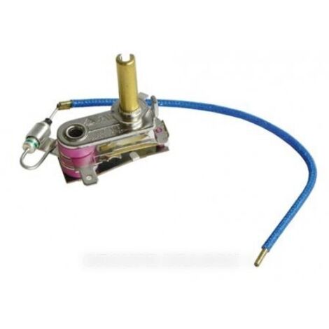 Thermostat avec fusible pour Centrale Vapeur ASTORIA 500583474