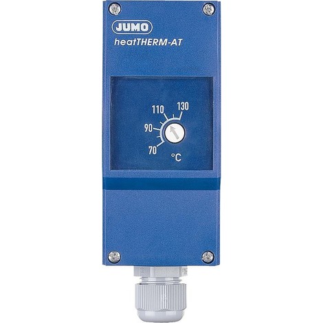 Thermostat d'applique type 603070/0020 70...130 C avec conduite . distance extractible