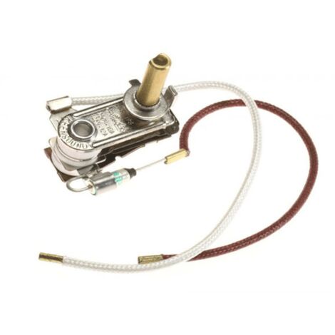 Thermostat de fer + fusible thermique pour PIECES ENTRETIEN...
