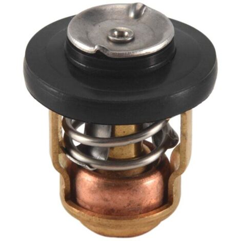 Thermostat De Remplacement 50 Degrés Pour Moteur Hors-Bord 2 Temps 6 À 40 Cv