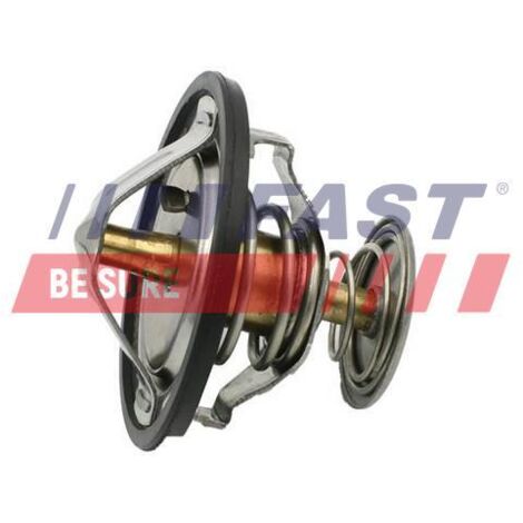Thermostat FT58083 rapide