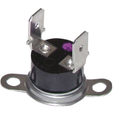 Thermostat mit Begrenzer 105°C