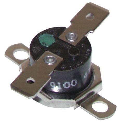 Thermostat mit Begrenzer 110°C