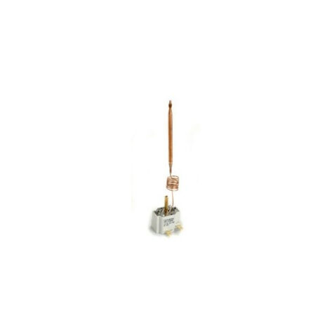 Thermostat Mono Bulbe Pour Chauffe-eau Domestique à Régulation 12/70°c Type Gtlh, L De Canne: 740mm. Sans Sécurité. -pl