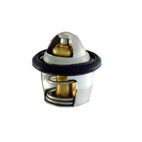thermostat rms pour scooter kymco 300 menschen gti abs 2012