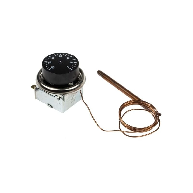 Thermostat Rs Pro Capillaire, 0°C à +120°C, 1 rt ( Prix pour 1 )