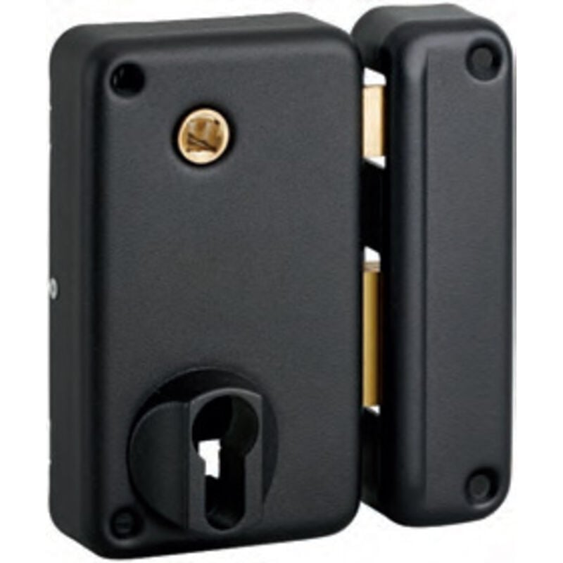 Boitier de serrure verticale en applique double entrée à fouillot pour entrée, droite, axe 45mm, 75x130mm, noir