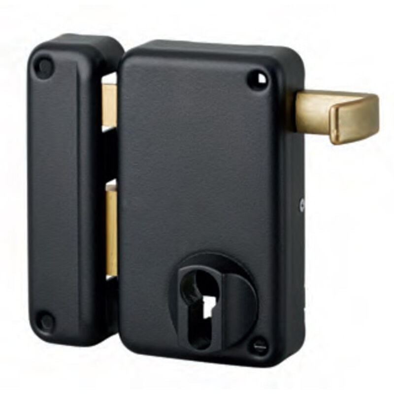 Thirard - Boitier de serrure verticale en applique double entrée à tirage pour porte d'entrée, gauche, axe 45mm, 75x130mm, noir