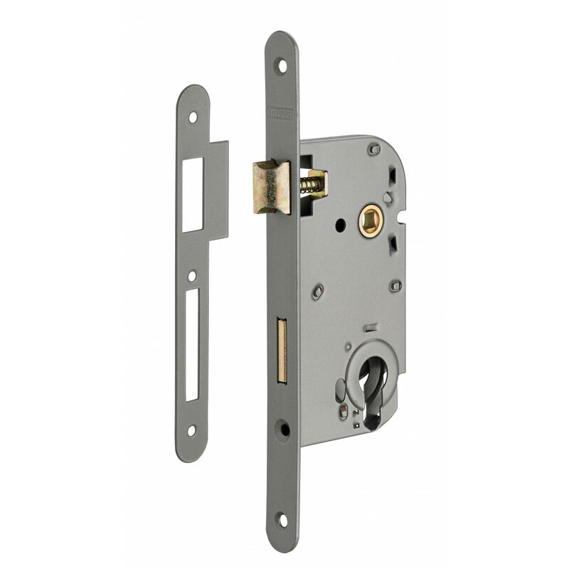 Lot de 50 boitiers de serrure encastrable - Axe 50, gris métal, à cylindre - Thirard