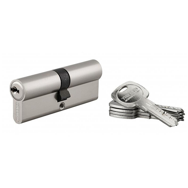 

Thirard - Cilindro de cerradura 40 x 40 mm en caja - 17789