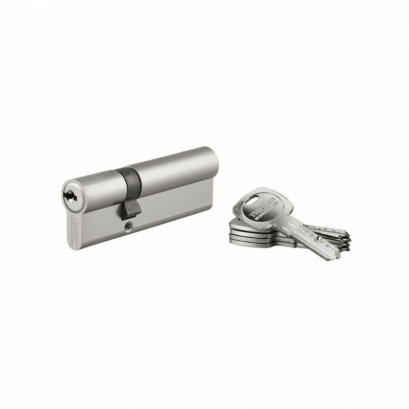 

Thirard - Cilindro de cierre 30 x 60 mm en caja - 17790
