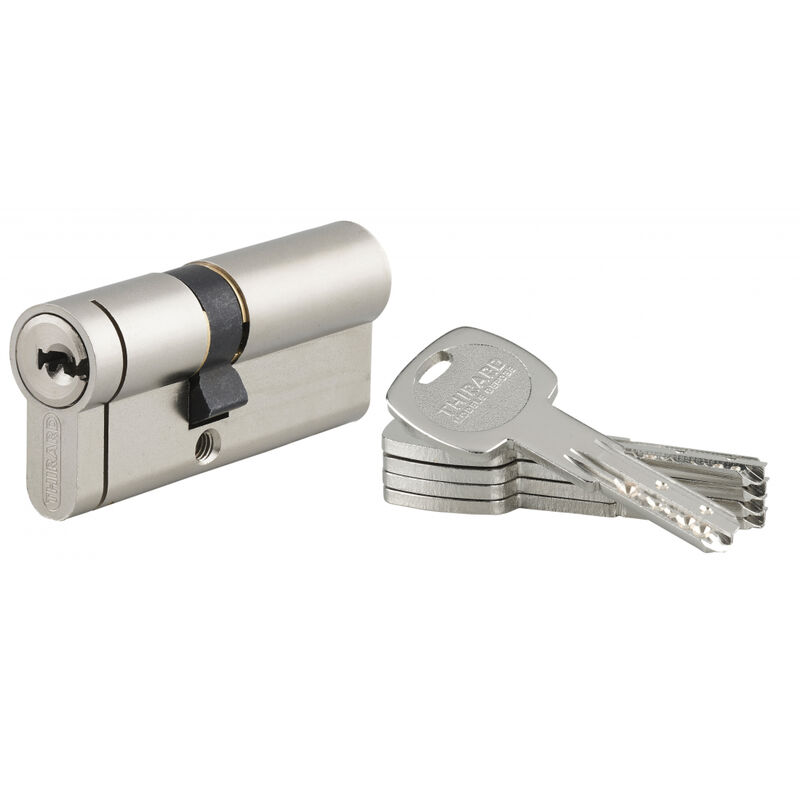 Cylindre de serrure double entrée Transit 2, 45x30mm, nickel, anti-perçage, anti-crochetage côté 30mm, 5 clés