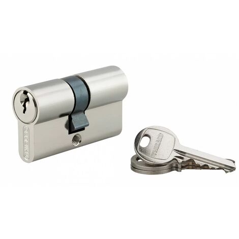 THIRARD - Cylindre à clé crantée 25 x 30 mm nickelé 3 clés