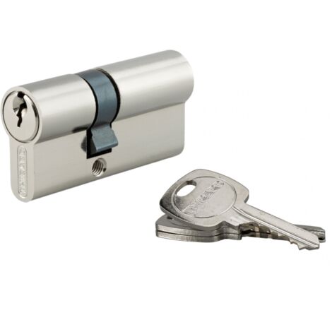 Thirard – Cylindre de serrure 25x40mm – Protection anti-arrachement – 3 clés fournies – Pour portes de cabanon – Nickel