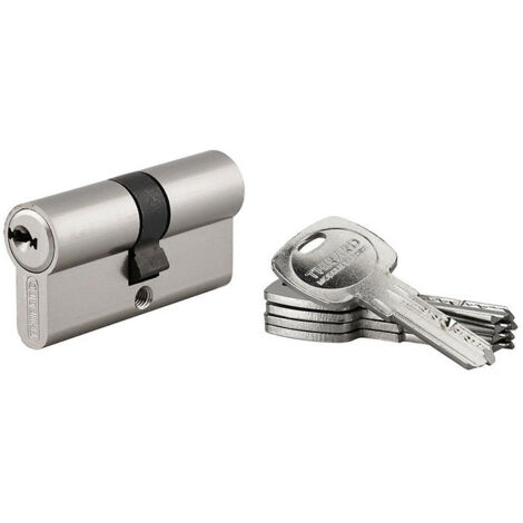 Thirard – Cylindre de serrure 6 goupilles – 5 clés plates réversibles en laiton nickelé – Protection anti-snap – Dimensions 30x40mm