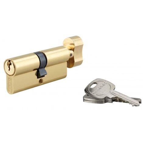 THIRARD - Cylindre de serrure à bouton, 40Bx40mm, anti-arrachement, laiton, 3 clés - THIRARD