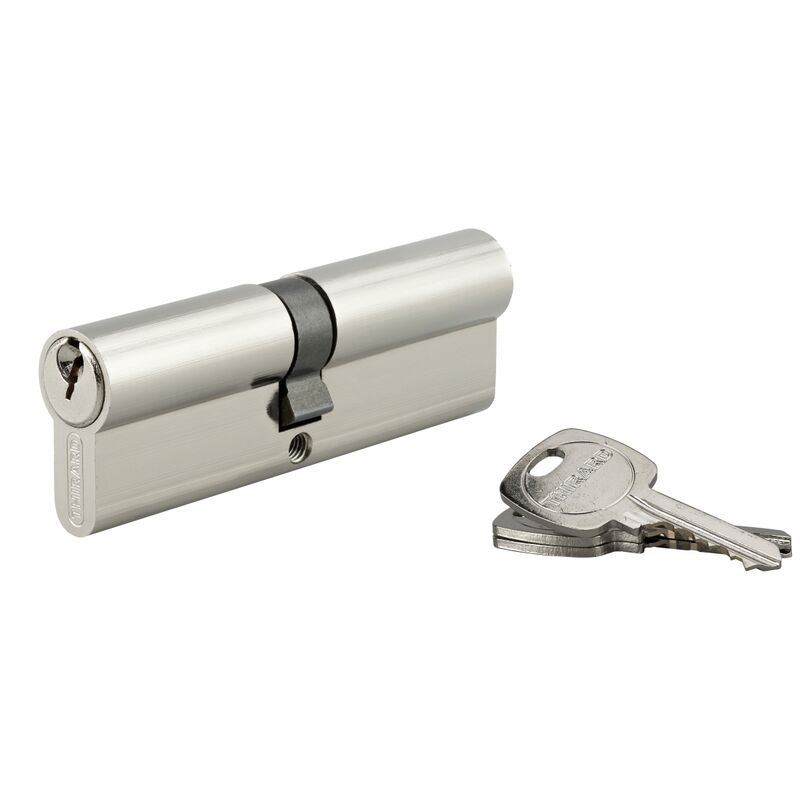 Cylindre de serrure double entrée, 45x50mm, anti-arrachement, nickel, 3 clés