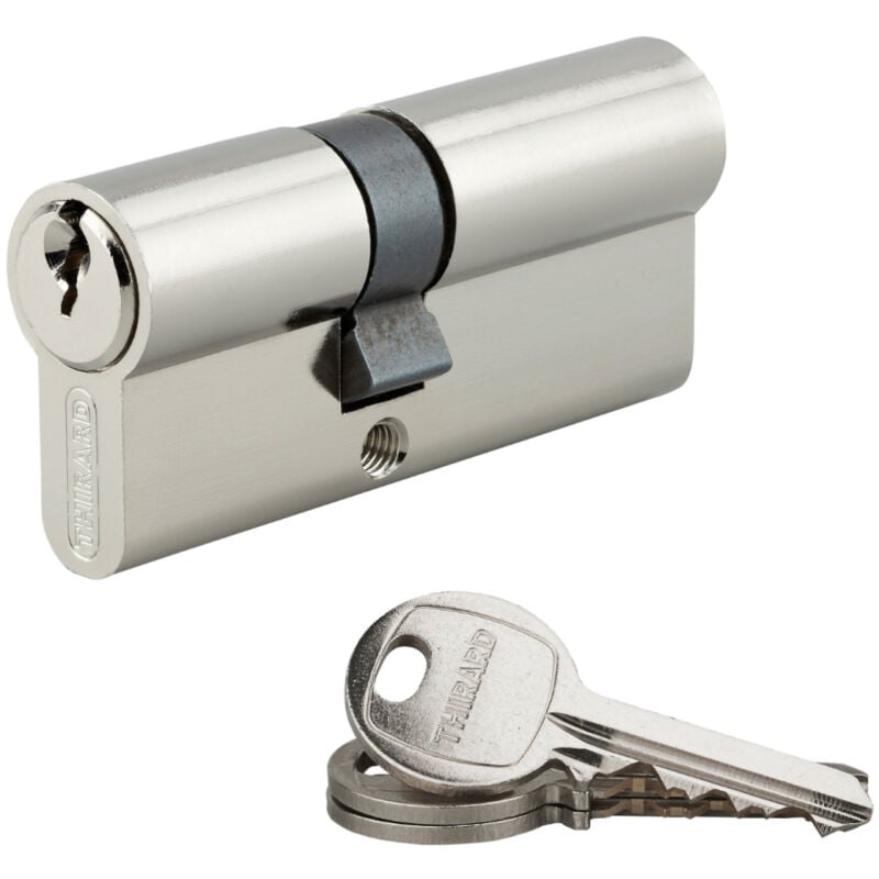 Finish - Cylindre de serrure double entrée sa unikey (achetez-en plusieurs, ouvrez avec la même clé), 30x40mm, 3 clés, nickelé