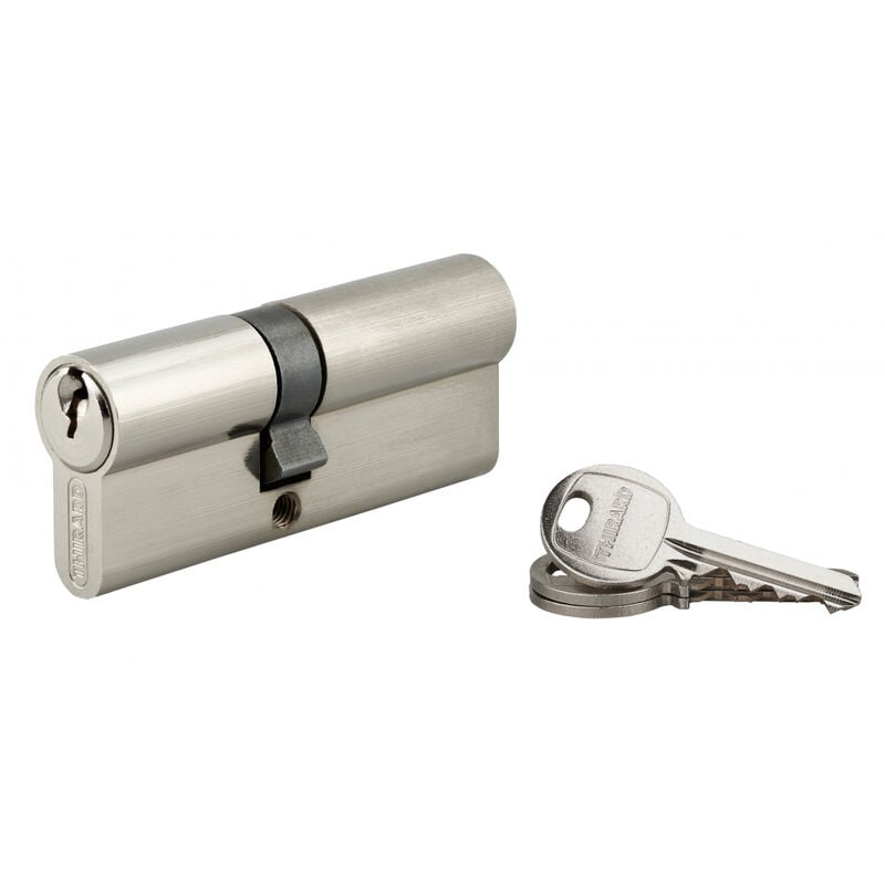 Thirard - Cylindre de serrure double entrée sa unikey (achetez-en plusieurs, ouvrez avec la même clé), 30x45mm, 3 clés, nickelé
