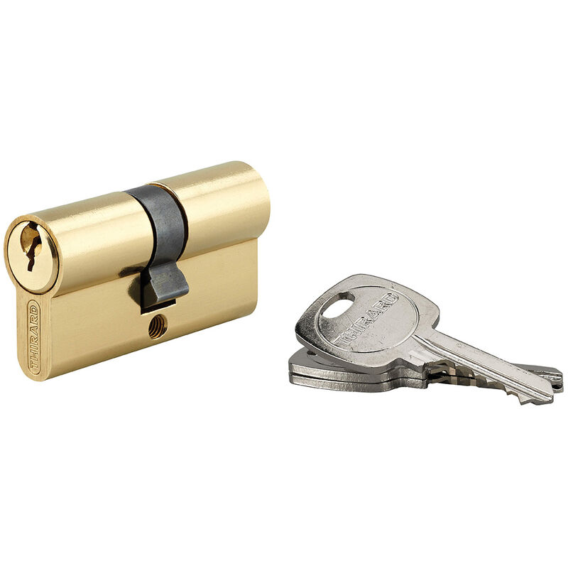 Thirard - Cylindre de serrure double entrée std unikey (achetez-en plusieurs, ouvrez avec la même clé), 30x30mm, 3 clés, laiton