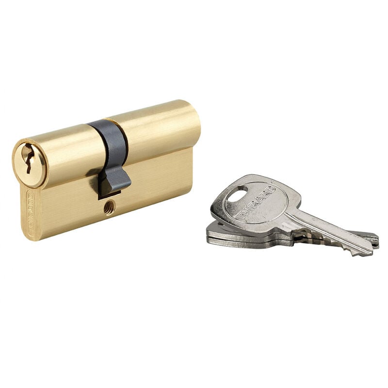 Thirard - Cylindre de serrure double entrée std unikey (achetez-en plusieurs, ouvrez avec la même clé), 30x40mm, 3 clés, laiton