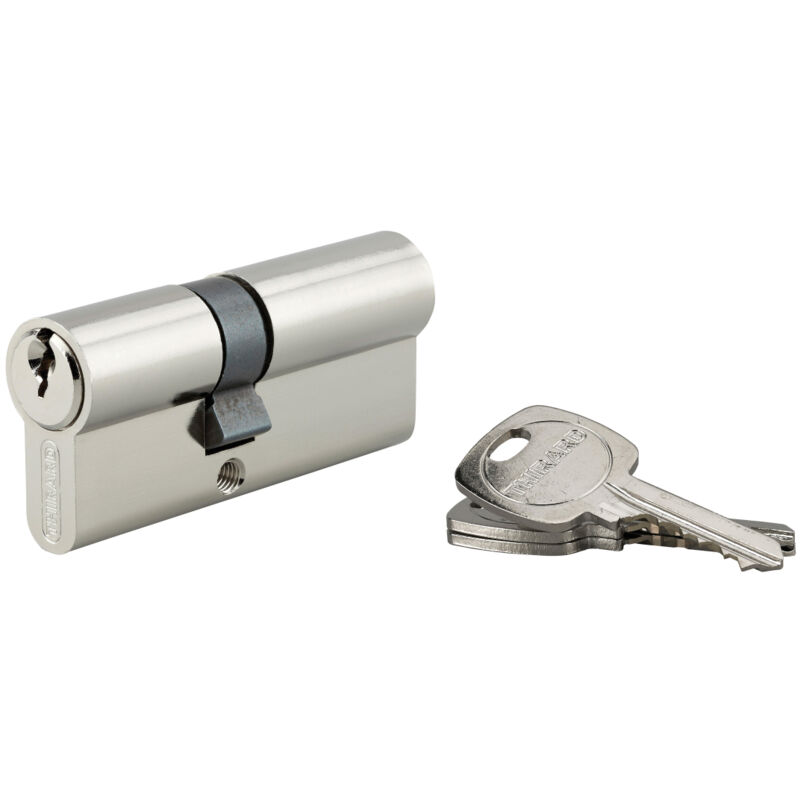 Thirard - Cylindre de serrure double entrée std unikey (achetez-en plusieurs, ouvrez avec la même clé), 30x40mm, 3 clés, nickelé