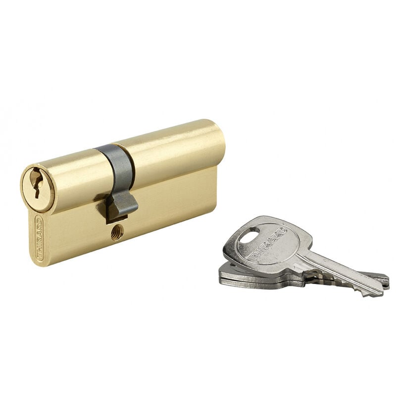 Thirard - Cylindre de serrure double entrée std unikey (achetez-en plusieurs, ouvrez avec la même clé), 30x50mm, 3 clés, laiton