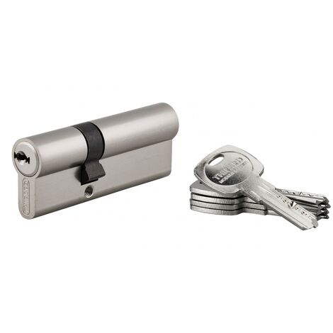 THIRARD - Cylindre de serrure double entrée Trafic 6, 30x50mm, nickel, anti-arrachement, anti-perçage, 5 clés