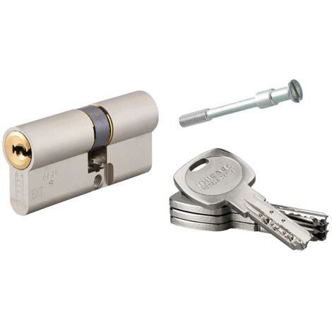 THIRARD - Cylindre de serrure double entrée Transit 2 pour Trimax A2P, 35x30mm, nickel, 4 clés - THIRARD