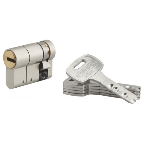 Thirard – Cylindre de serrure profilé 30x10mm – Protection anti-perçage et anti-arrachement – 5 clés réversibles – Goupilles télescopiques