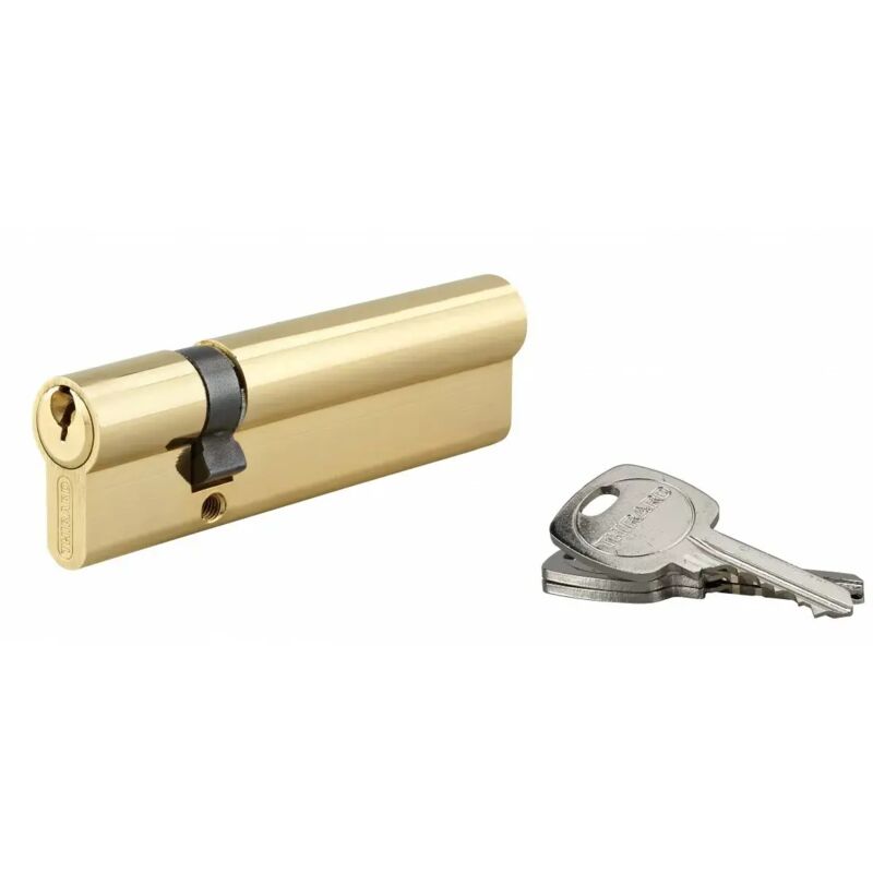 Cylindre de serrure double entrée, 30x80mm, anti-arrachement, laiton, 3 clés
