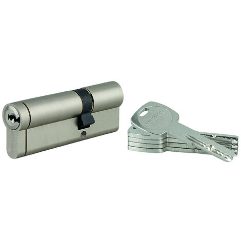 THIRARD - Cylindre double entrée Transit 1 UNIKEY (achetez-en plusieurs, ouvrez avec la même clé), 30x60mm, 5 clés, nickelé - THIRARD