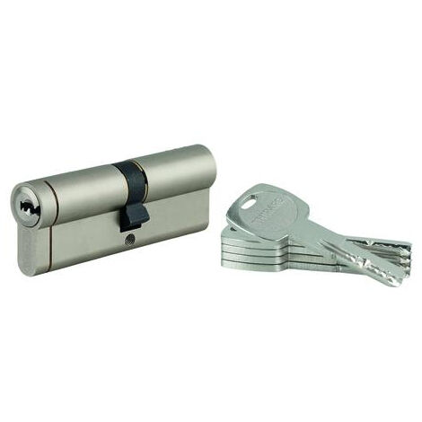 THIRARD - Cylindre double entrée Transit 1 UNIKEY (achetez-en plusieurs, ouvrez avec la même clé), 40x50mm, 5 clés, nickelé - THIRARD