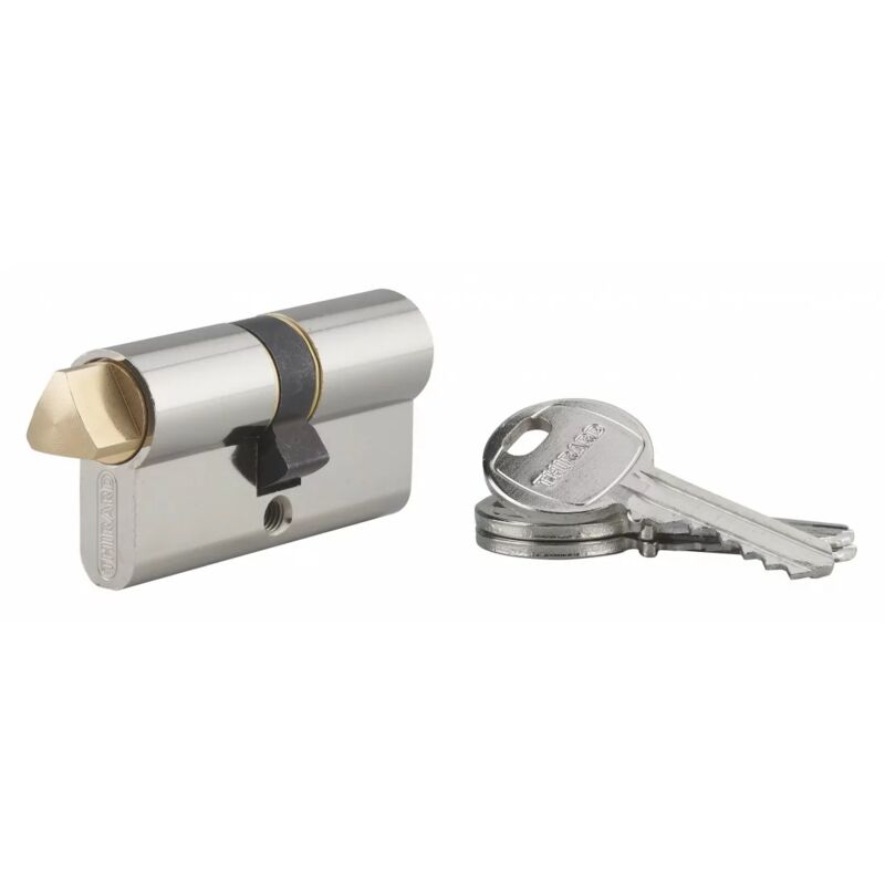 Cylindre profile hg 30x30 triangle externe 14 3 clés nickelé - Thirard