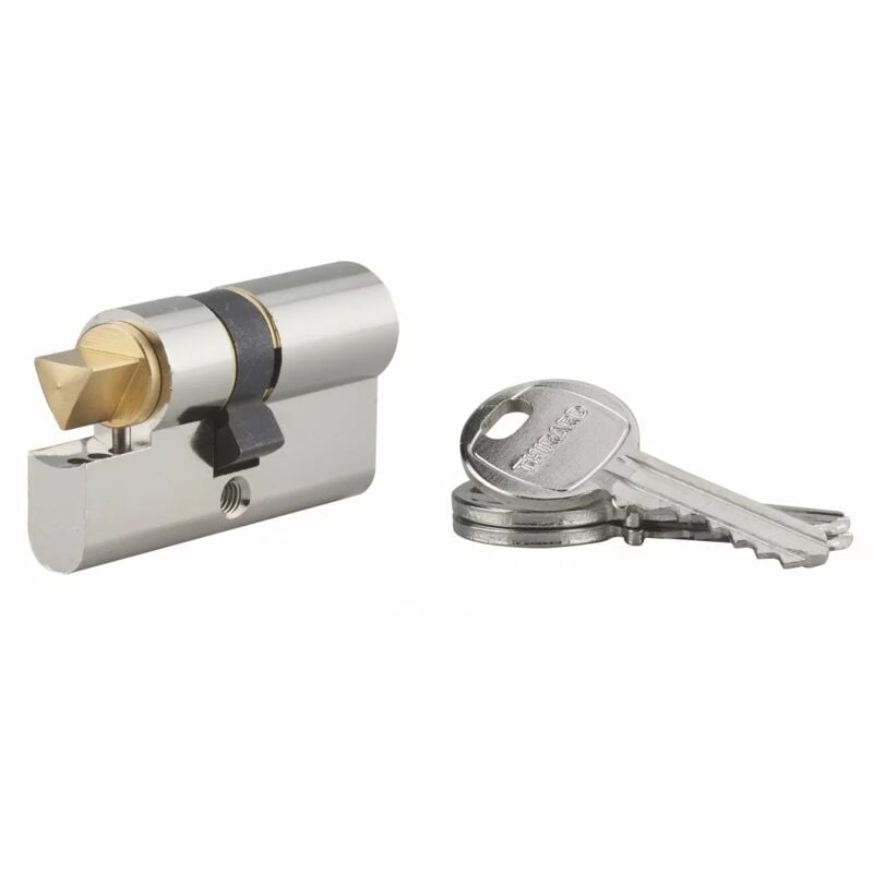 Cylindre profile hg 30x30 triangle interne 11 3 clés nickelé - Thirard