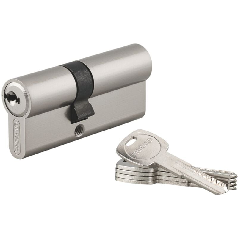 Cylindre de serrure double entrée Trafic 6, 30x60mm, anti-arrachement, anti-perçage, nickel, fonction urgence 5 clés