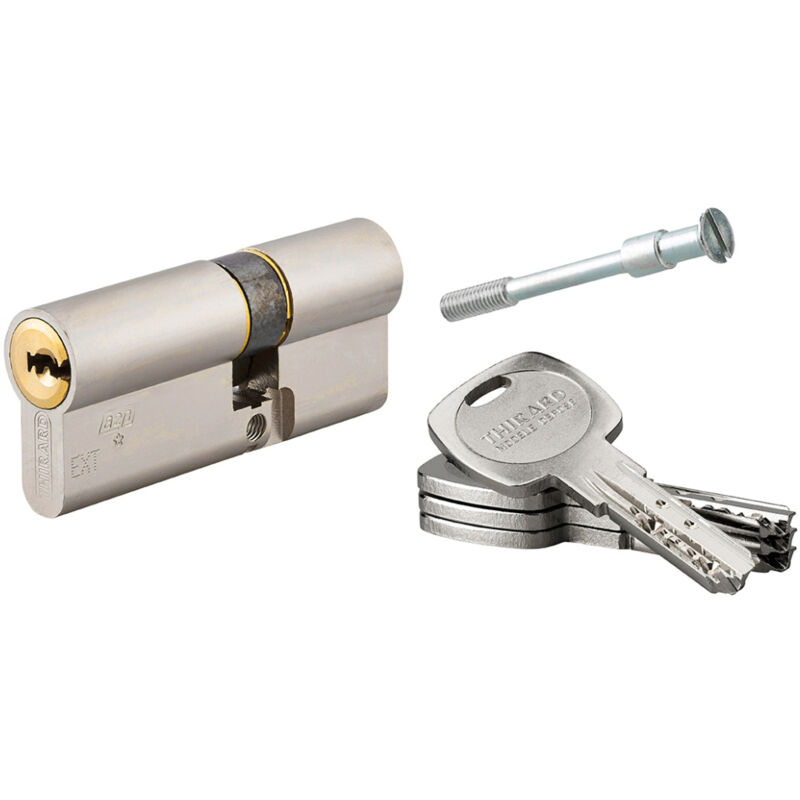 Cylindre de serrure double entrée Transit 2 pour Trimax A2P, 40x30mm, nickel, 4 clés