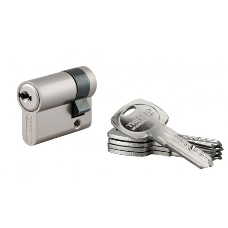 THIRARD - Demi-cylindre de serrure Trafic 6 UNIKEY (achetez-en plusieurs, ouvrez avec la même clé), 30x10mm, 5 clés - THIRARD
