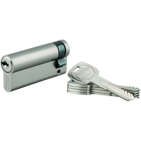 THIRARD - Demi-cylindre de serrure Trafic 6 UNIKEY (achetez-en plusieurs, ouvrez avec la même clé), 60x10mm, 5 clés - THIRARD