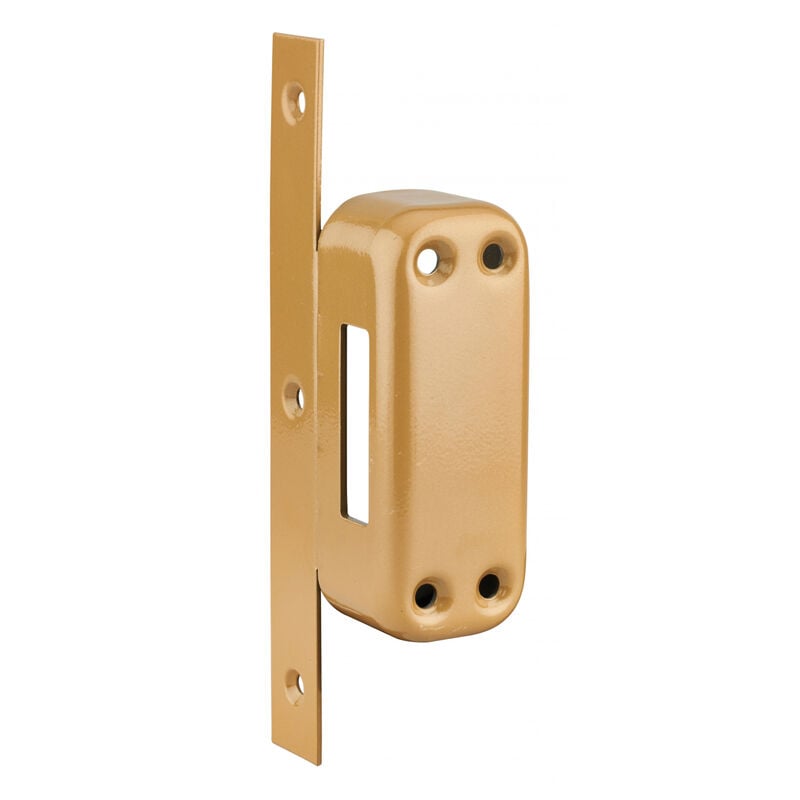 Thirard - Gâche renforcée pour verrou Rafale, têtière en acier, époxy bronze