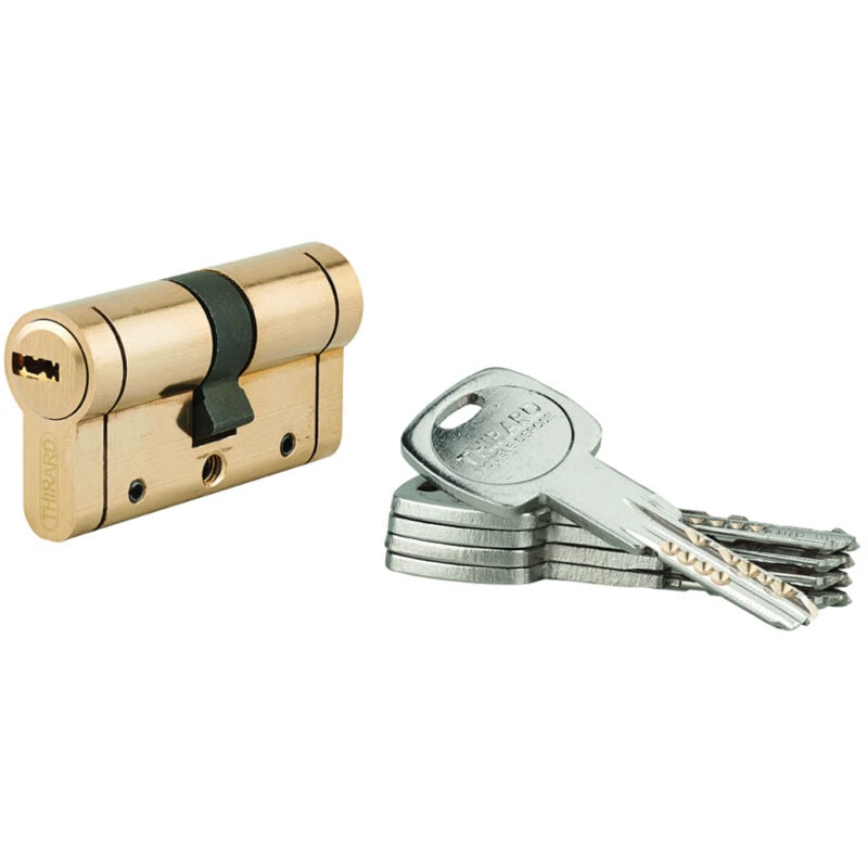 Cylindre de serrure à bouton Trafic 12, 30x30mm, nickel, anti-arrachement, anti-perçage, anti-casse, 5 clés