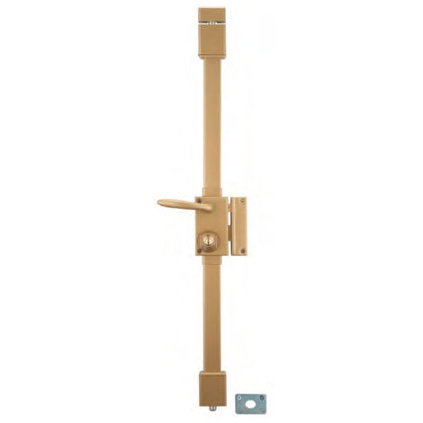 Thirard – Serrure multipoint en applique 3 points – Cylindre Ø23mm – Axe 45mm – 4 clés en laiton – Boîtier acier cambré – Pour porte d'entrée