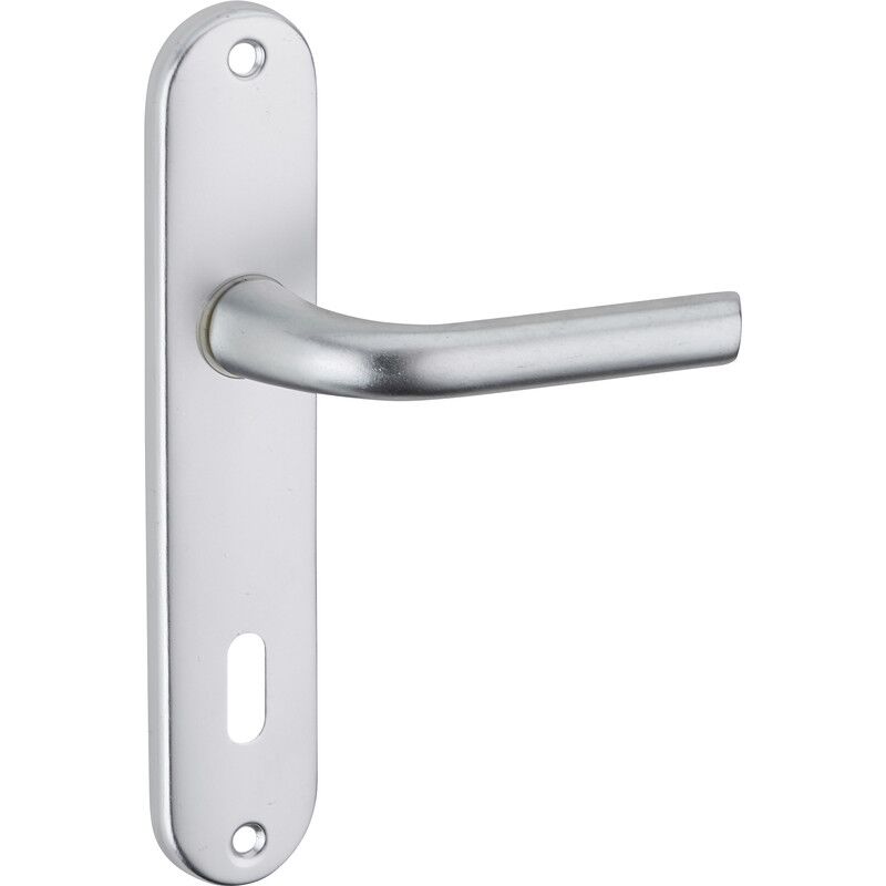 Thirard - set maniglie su placca leto argento con