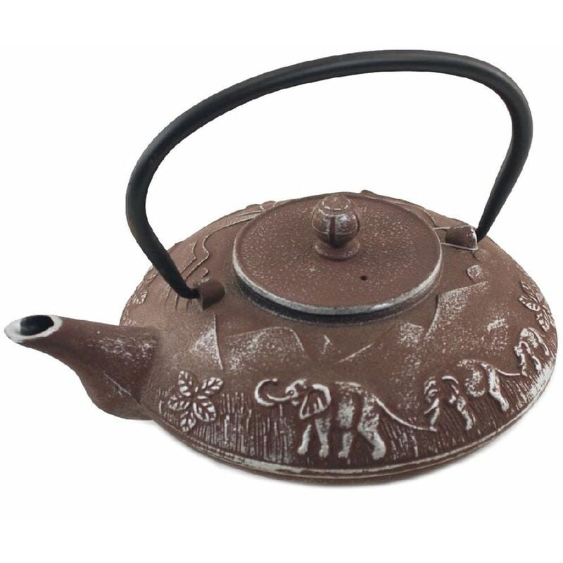 Théière Japonaise grise en fonte