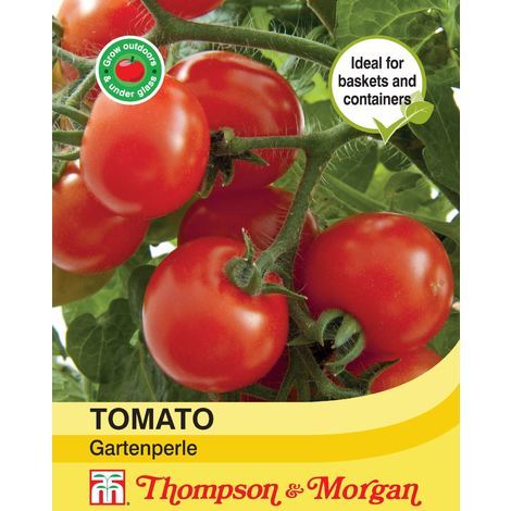 Thompson Morgan Vegetables Tomato Gartenperle 20 Seed