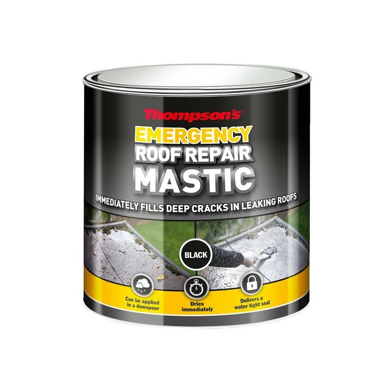 36082 Thompson's Emergency Roof Repair Mastic 750ml RSLTERRM750 - Ronseal