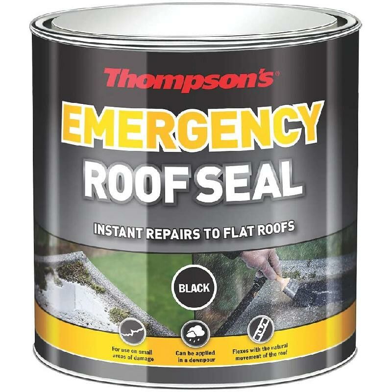 's Emergency Roof Seal - Black - 1L - Thompson