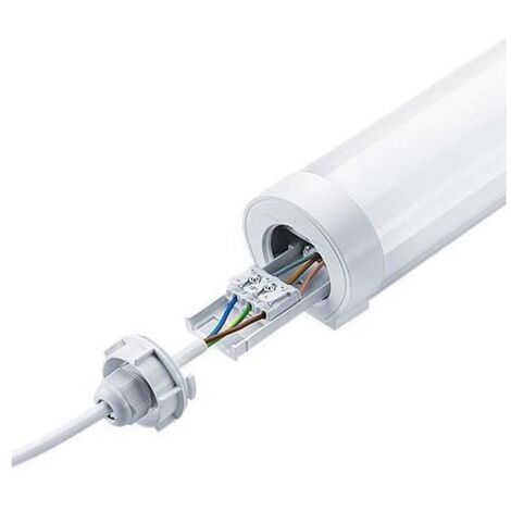 Thorn ECO LUCY Leuchte weiß 40 W 4000 K IP66