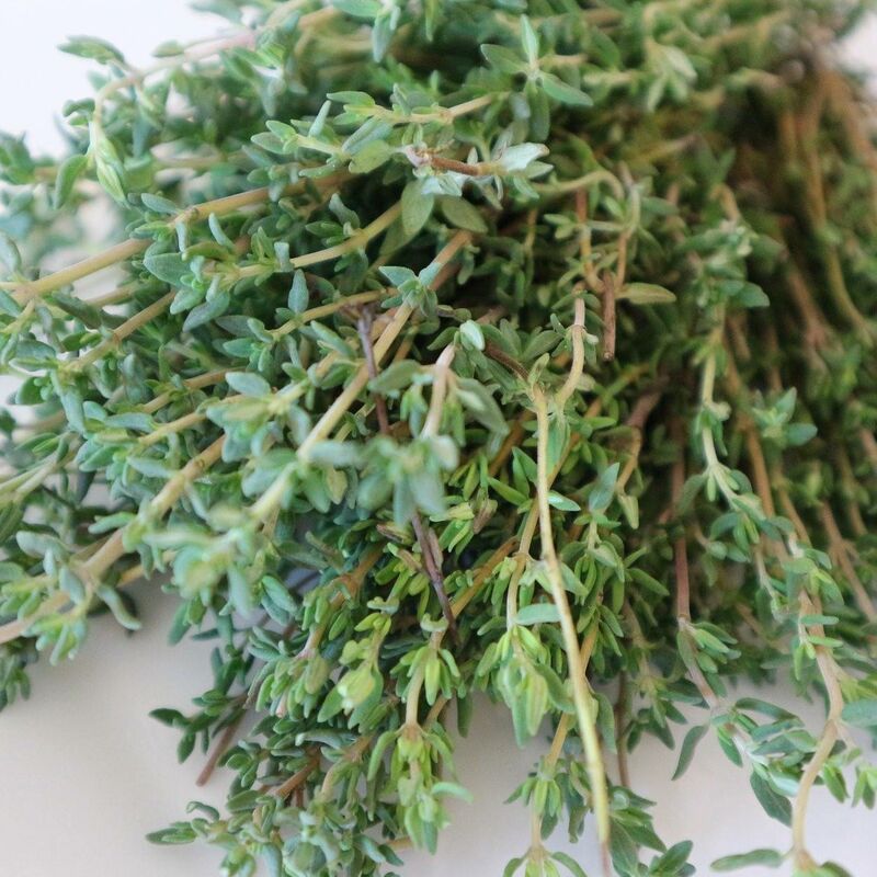 Thym commun vulgaris | Conditionnement: Lot de 9 godets